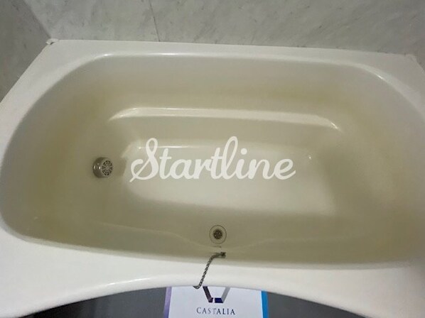 カスタリア新富町IVの物件内観写真